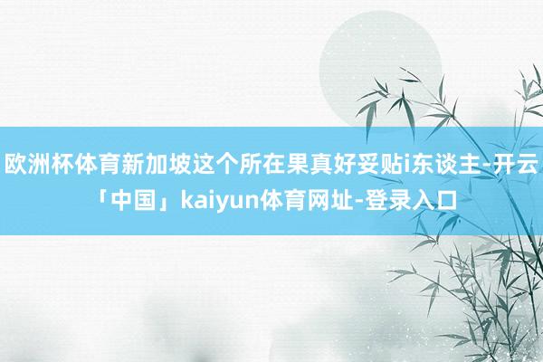 欧洲杯体育新加坡这个所在果真好妥贴i东谈主-开云「中国」kaiyun体育网址-登录入口